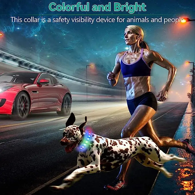 Led/USB Luminous PVC Waterproof Collar For Large Medium Or Small Pets