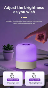 Rechargeable Led Dimmable Multicolor Night Light with Remote Control Or Touch Switch