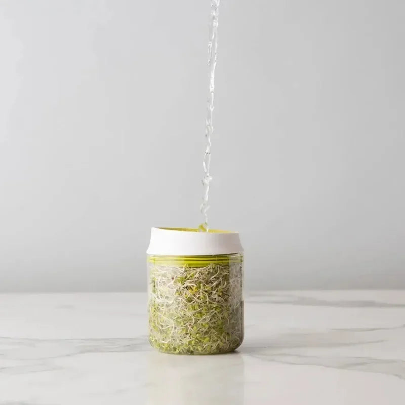Reusable Seed Growing Container For Fresh Sprouts