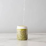 Reusable Seed Growing Container For Fresh Sprouts