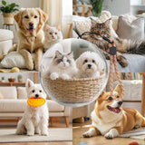 2.7 Inch- 4GB Video Crystal Ball