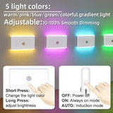 LED Motion 3 Modes Sensor Night Light