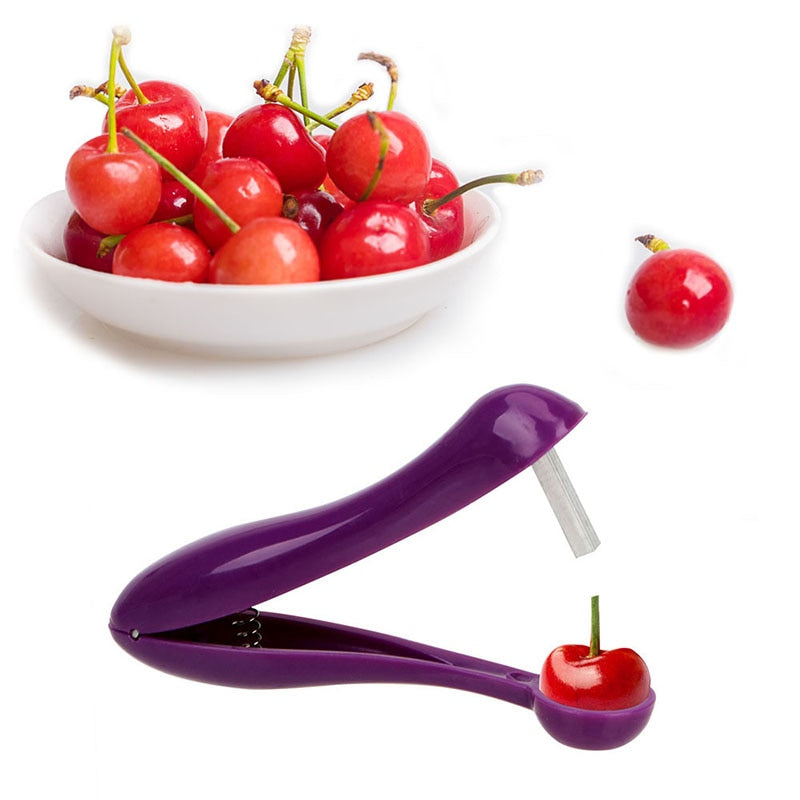 5'' Cherry/Olive Pit Remover.
