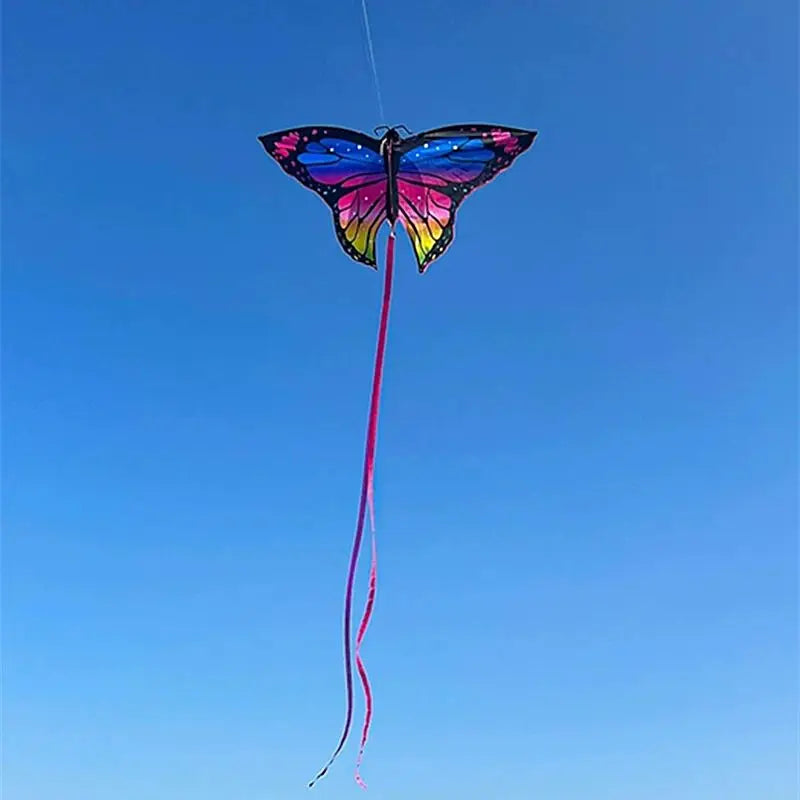 Colorful Inflatable Butterfly Kite