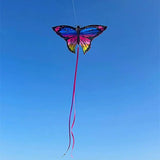 Colorful Inflatable Butterfly Kite