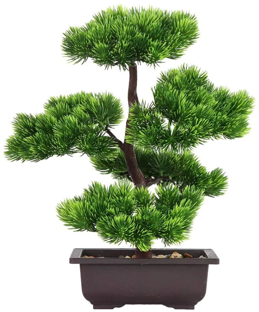 33cm Japanese Pine Bonsai Plant for Home Decoration