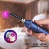 Red Blue LED Physiotherapy Light For treatment of Lip Nose Ears Body Muscle And Canker Sores