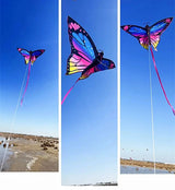 Colorful Inflatable Butterfly Kite