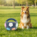 Pet's Soccer Ball With Carrying Handle For Throwing