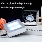 Decorative 3D Crystal Human Brain Model