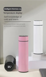500ml Stainless Steel Thermos Bottle with LED Digital Temperature Display