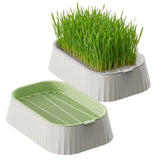 Hydroponic Cat Grass Planter