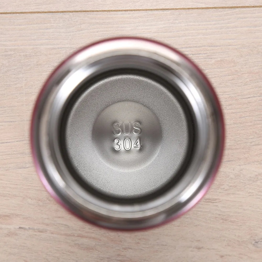 500M/16 Oz Insulated Stainless Steel BPA Free Leakproof Water Bottle