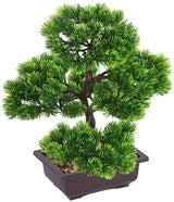 33cm Japanese Pine Bonsai Plant for Home Decoration