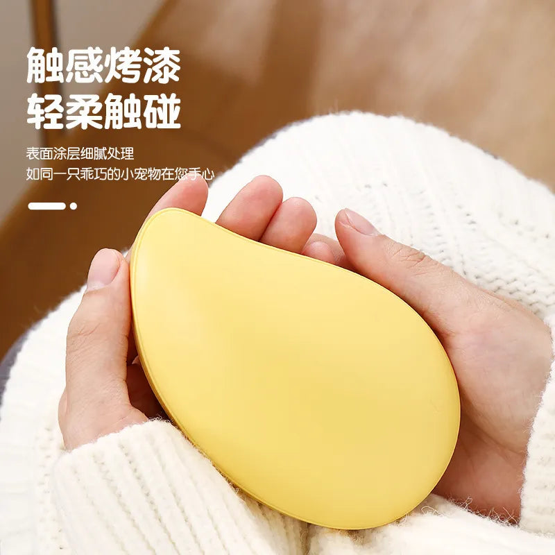 Rechargeable Portable hand warmer.