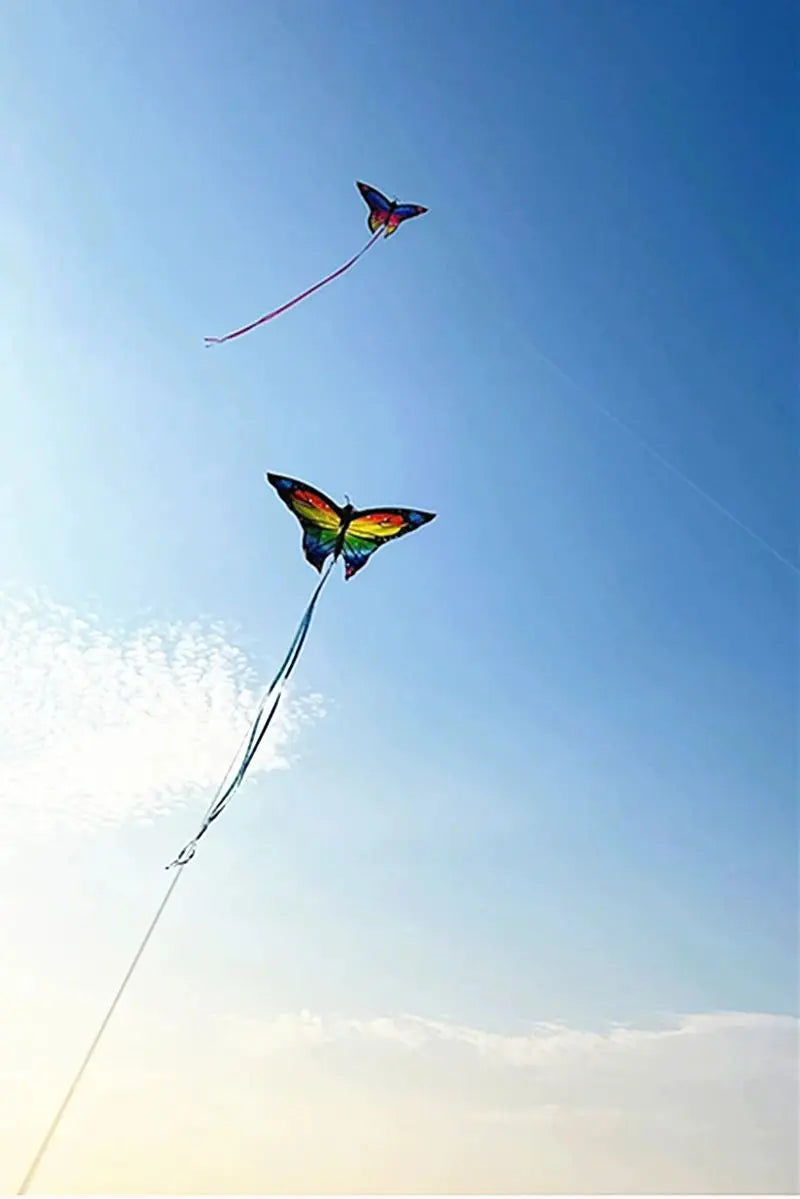 Colorful Inflatable Butterfly Kite