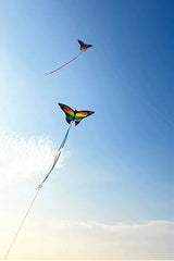 Colorful Inflatable Butterfly Kite