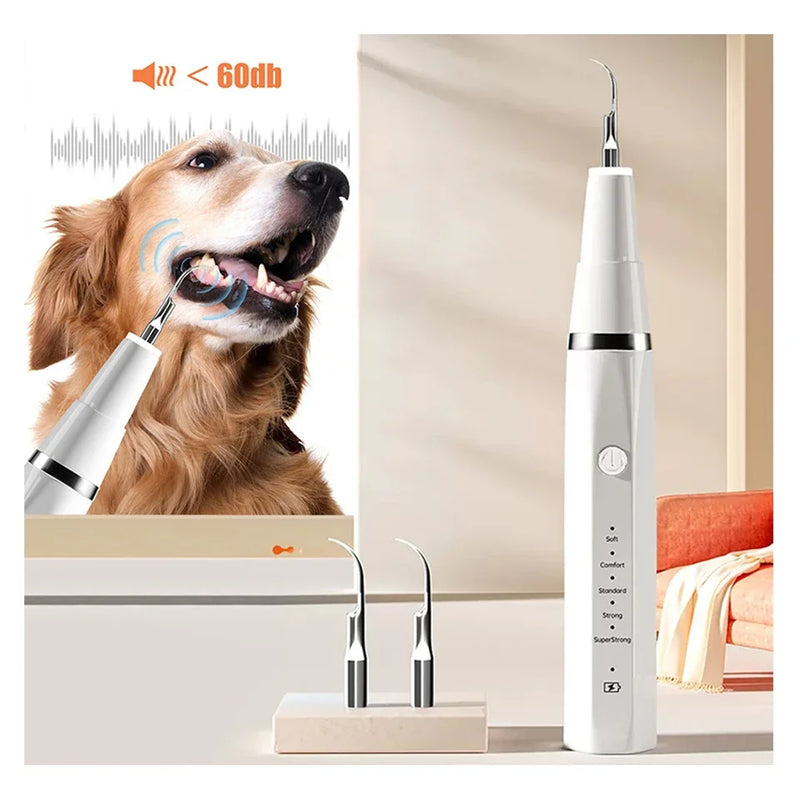 Pet Dental Ultrasonic Scale Remover