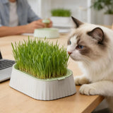 Hydroponic Cat Grass Planter