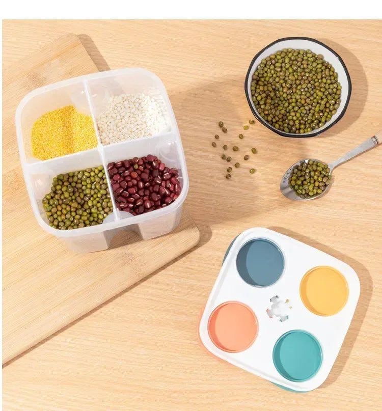 4 Grids Sealed Plastic Storage Container