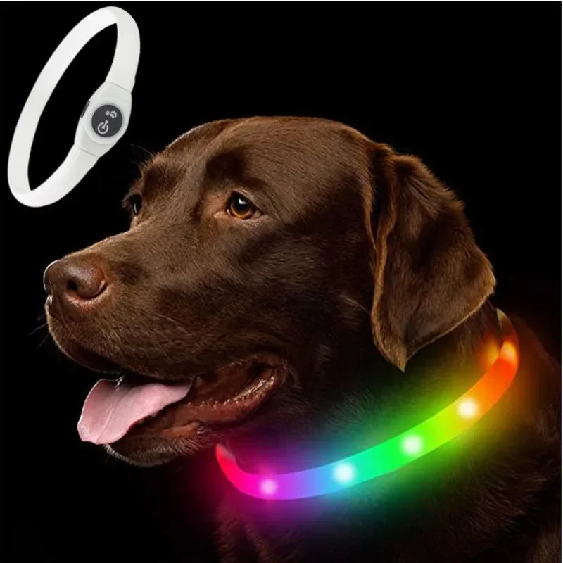 Led/USB Luminous PVC Waterproof Collar For Large Medium Or Small Pets