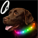Led/USB Luminous PVC Waterproof Collar For Large Medium Or Small Pets