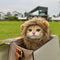 Cute Lion Mane wig for your cat.