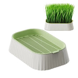 Hydroponic Cat Grass Planter