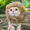 Cute Lion Mane wig for your cat.