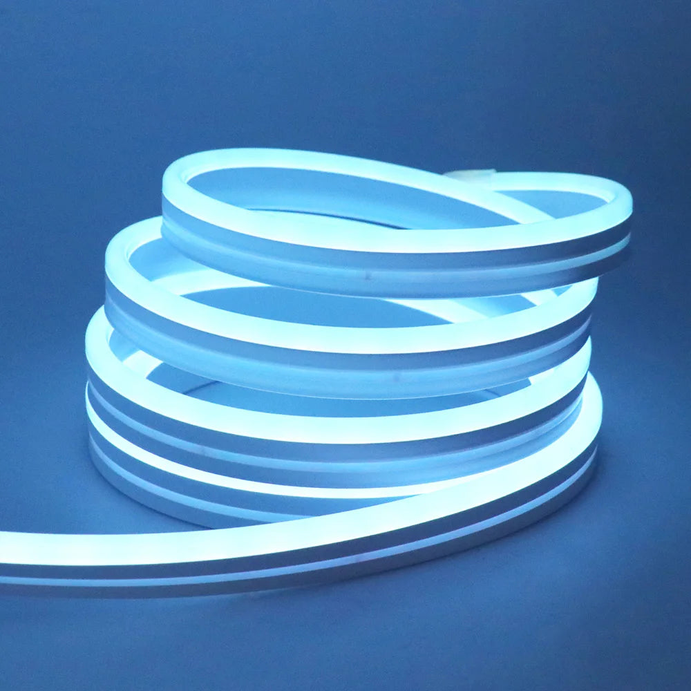 10M 20M 30M LED RGB Neon Flexible Waterproof\Bluetooth DC 24V Light Strip
