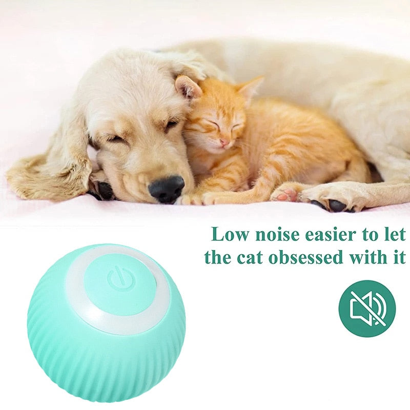 Electric rolling ball.  Automatically rolls to keep your Kitten active.