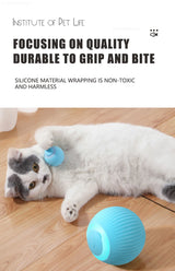 Electronic Interactive Cat Toy
