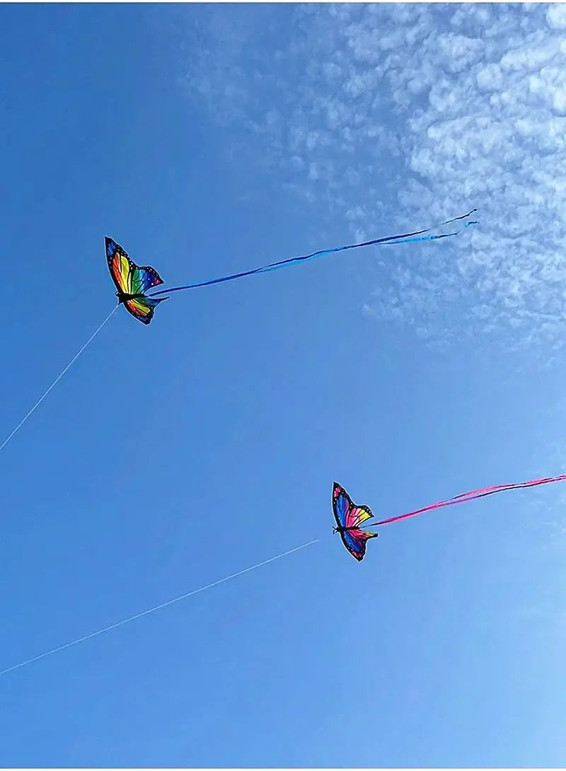 Colorful Inflatable Butterfly Kite