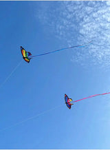 Colorful Inflatable Butterfly Kite