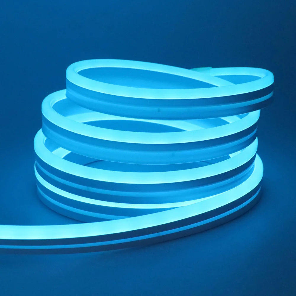 10M 20M 30M LED RGB Neon Flexible Waterproof\Bluetooth DC 24V Light Strip