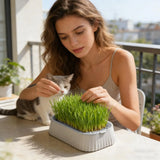 Hydroponic Cat Grass Planter