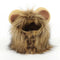 Cute Lion Mane wig for your cat.