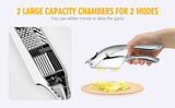 Stainless Steel 2 in 1 Garlic Press
