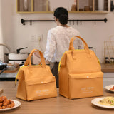 Large Waterproof Insulated Lunch Bag