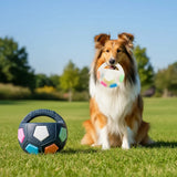 Pet's Soccer Ball With Carrying Handle For Throwing