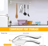 Stainless Steel 2 in 1 Garlic Press