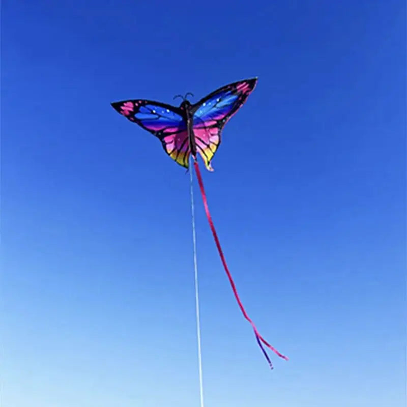 Colorful Inflatable Butterfly Kite