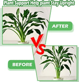 Plastic Plant Stem Support Stakes