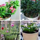 2/4PCS Plastic Semicircle Plant Vine Support.