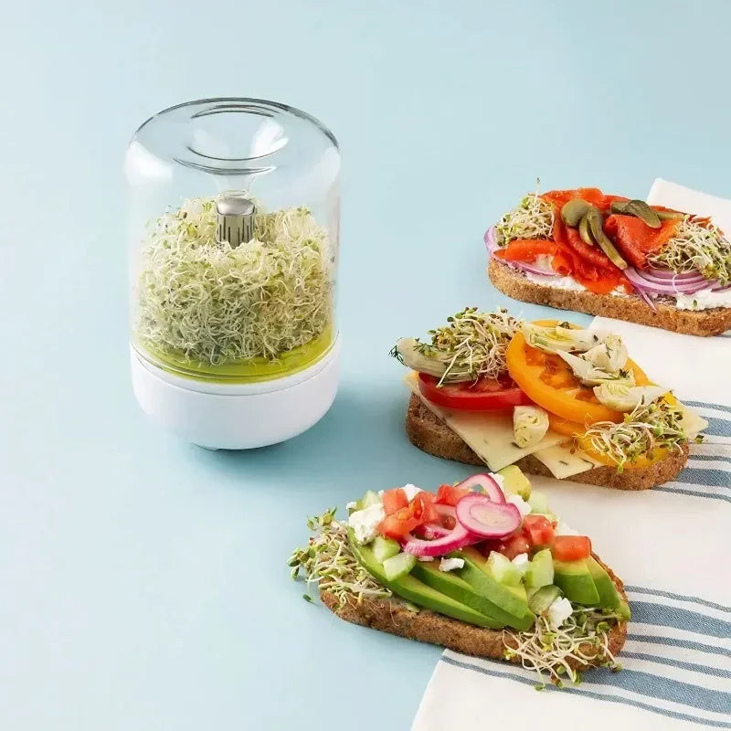 Reusable Seed Growing Container For Fresh Sprouts