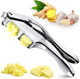 Stainless Steel 2 in 1 Garlic Press