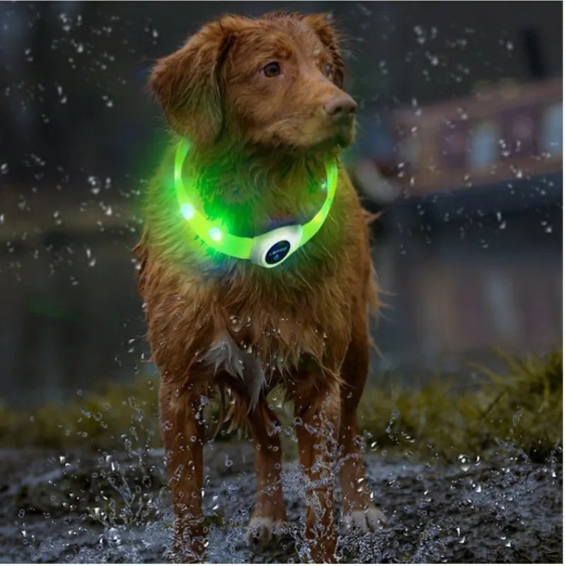 Led/USB Luminous PVC Waterproof Collar For Large Medium Or Small Pets