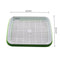 Double Layer Hydroponic Seedling Tray.  Great for Starting Off Seeds for Vegetables .