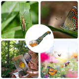 Insect Catcher With Magnifying Glass