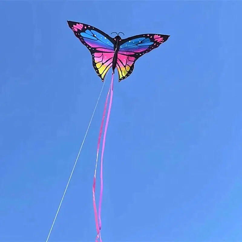 Colorful Inflatable Butterfly Kite